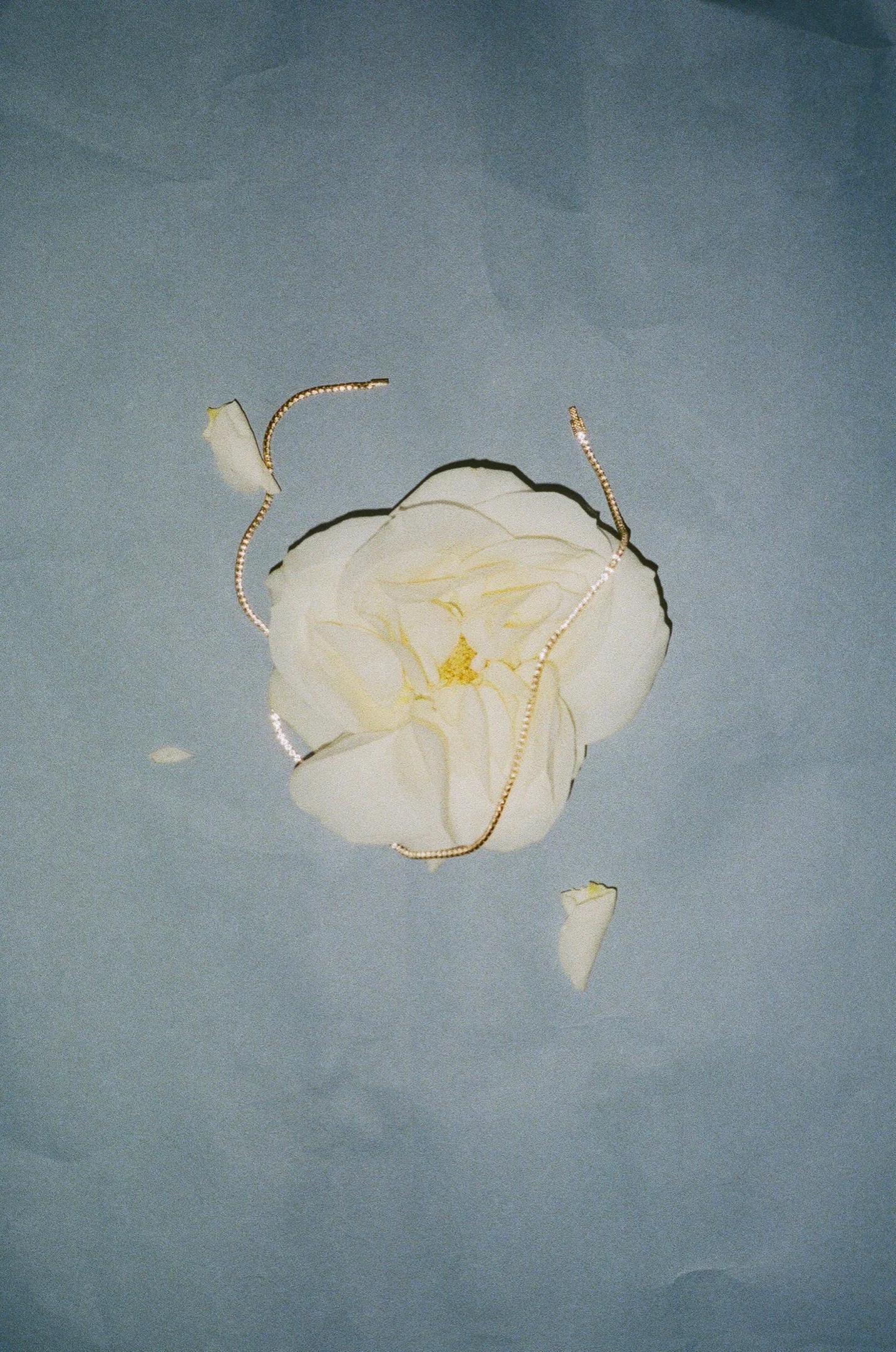A white flower and jewellery against a blue-grey background
